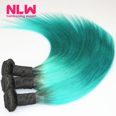 

N..W. 10A Brazilian virgin human hair 3 bundles Silk straight hair extensions Ombre T1B/Green Hair color