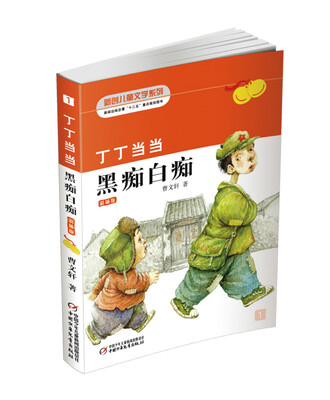 

新创儿童文学系列·丁丁当当：黑痴白痴（美绘版）