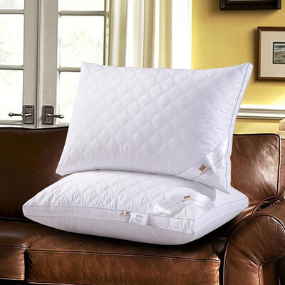 

Yingxin Pillow Home Textile Washable Plush Pillow Pillow High-stretch Soft Pillow Pillow 2pcs 48 74cm