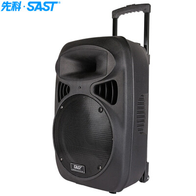 

SAST ST-1209W portable mobile outdoor rod active sound high power square dance battery card box 12 inches black