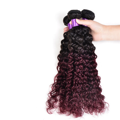 

7A Grade Ombre Hair 3Pcs Lot Two Tone Color Peruvian Curly Hair Ombre Peruvian Kinky Curly Virgin Hair Weaves T1B99J Red Wine