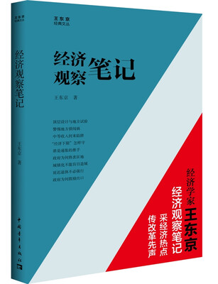

王东京经典文丛：经济观察笔记