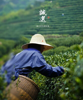 

Top Grade Organic Hand Harvest Da Yu Ling Oolong 2600M High Mountain Taiwan Tea