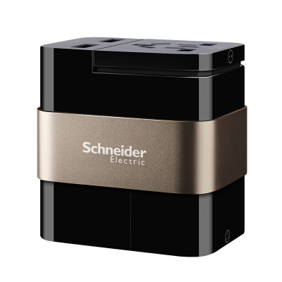 

Schneider Electric Multinational Universal Travel Converter Smart USB Charging Travel Sockets - Black Gold