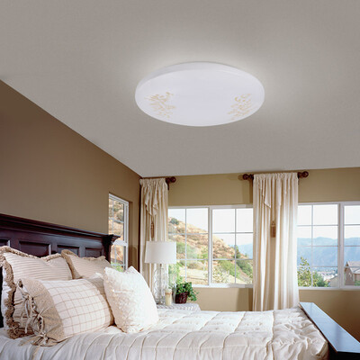 

NVC Ceiling Lamps Living Room Lamps Lights Lights Lights Ladies Fashion Luminous Mono Light 18W 6500K