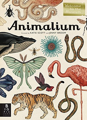 

Animalium