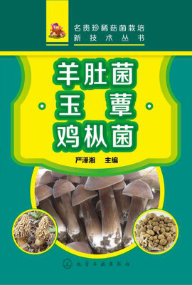 

名贵珍稀菇菌栽培新技术丛书羊肚菌·玉蕈·鸡枞菌