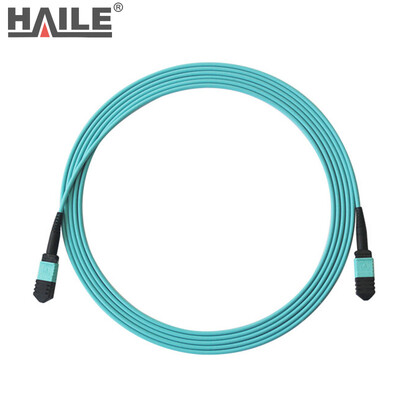 

HAILE Hai Le MPO-MT12-3M Multimode 10M OM3 fiber jumper 40G module with MPO optical fiber 12 core MPO-12 core MPO 3 meters