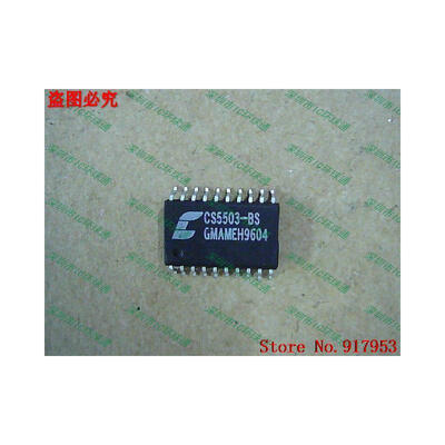 

Free shipping 10PCS 100 NEW CS5503-BS