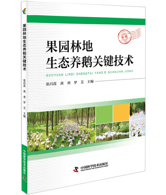 

果园林地生态养鹅关键技术