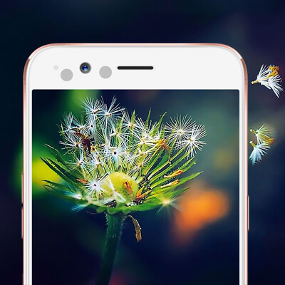 

ESR OPPO R11 закаленная телефонная пленка белая