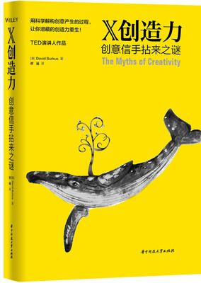 

X创造力