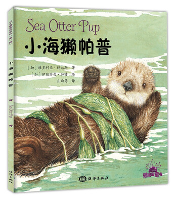 

小海獭帕普