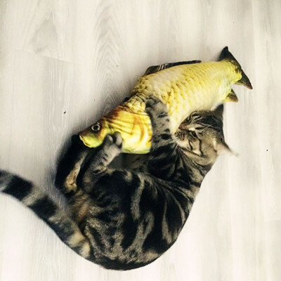 

Моделирование рыбной игрушки Cat Chew Toys Cat Teaser Fish Cushions Catnip Cat Supplies