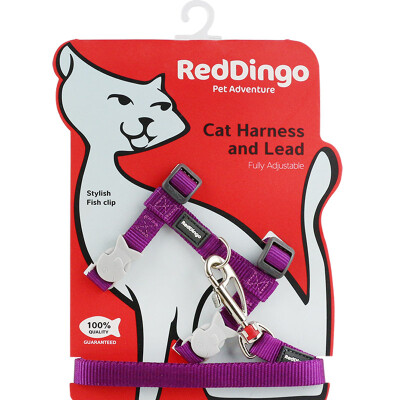 

Ruiding dog (RedDingo) into the cat neckband net color 12mm orange