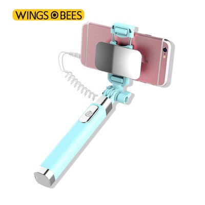 

Bee wing with self-timer self-timer self-timer self-timer self-timer camera
