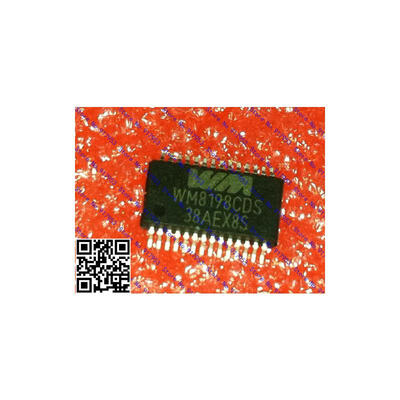

Free shipping 10PCS WM8198CDS