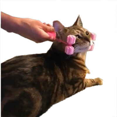 

Котята для собак с массажем для собак