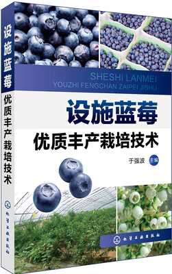 

设施蓝莓优质丰产栽培技术