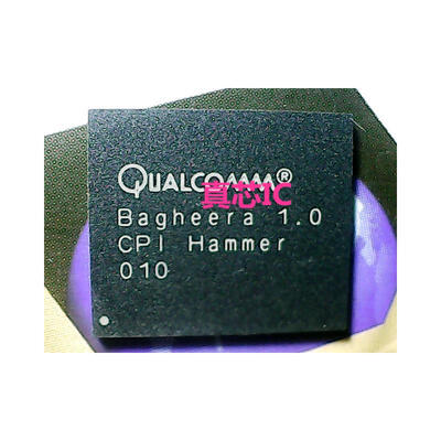 

BAGHEERA10