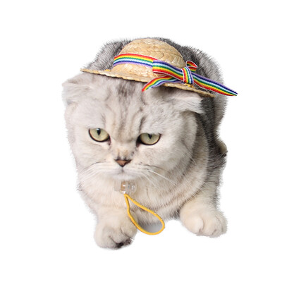 

Giza Aberdeen hat hat pastoral straw hat spring and summer autumn out of the shade dog hat cat jewelry rejection do not stand straw hat
