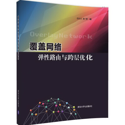 

覆盖网络弹性路由与跨层优化