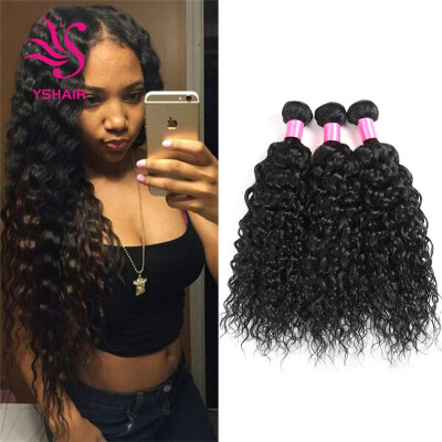 

7A Indian Water Wave Virgin Hair 3 Bundles Indian Curly Weave Human Hair Wet and Wavy Virgin Indian Hair Weave Bundles