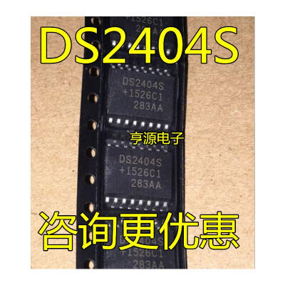 

DS2404 DS2404S