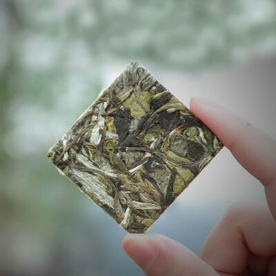 

Premium Organic Fuding Bai Mu Dan Flake White Peony Pai Mu Tan China White Tea