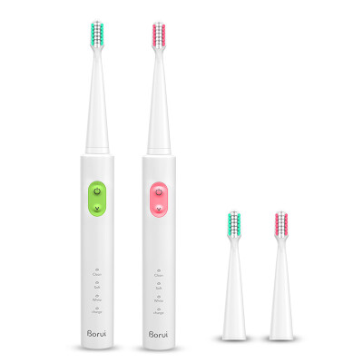 

platinum Rui BR-Z1 electric toothbrush (send four brush head) USB fast charge sound vibration intelligent change zone to remind the electric toothbrush green