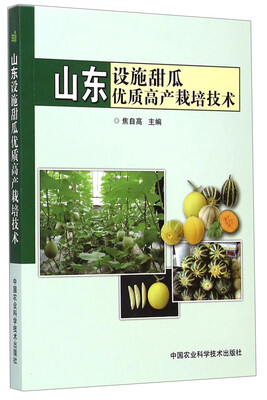 

山东设施甜瓜优质高产栽培技术