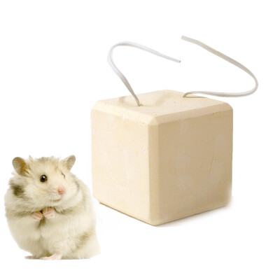 

Hanhan Paradise Pet Grinding Stone Small Hamster Golden Snake Dutch Pig Squirrel Dragon Cats Rabbit Available Molar Stone Products Snack Toys Boulder Small 3CM