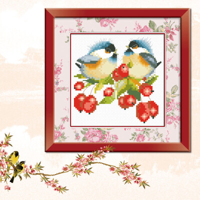 

embroider DIY DMC Cross stitchSets For Embroidery kits Flower&bird Chorus 2 factory direct sale
