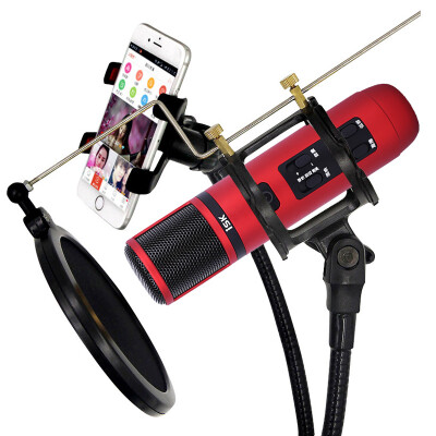 

iSK iM6 mobile phone microphone cinnabar red apple Android professional shouting wheat anchor live equipment sound card set network K song recording microphone