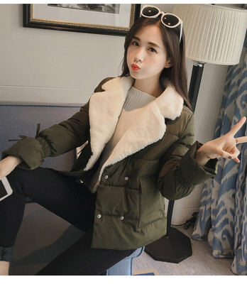 

2017 Cotton Clothes Women's Short Jacket Coat Winter Cute Jacket Women's Winter Skirt Student's Buns