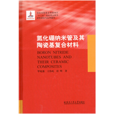 

氮化硼纳米管及其陶瓷基复合材料