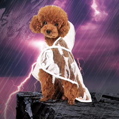 

Warrior hoopet teddy bear puppy transparent four-legged raincoat small dog waterproof clothing dog clothes beautiful transparent waterproof raincoat XL-bust 46-50cm