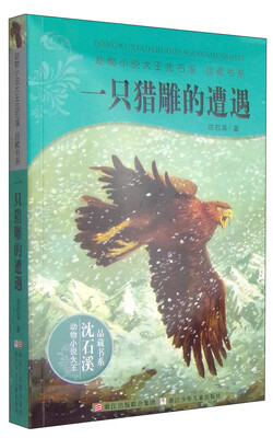 

动物小说大王沈石溪：一只猎雕的遭遇