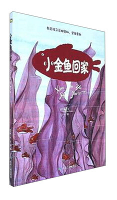 

小金鱼回家