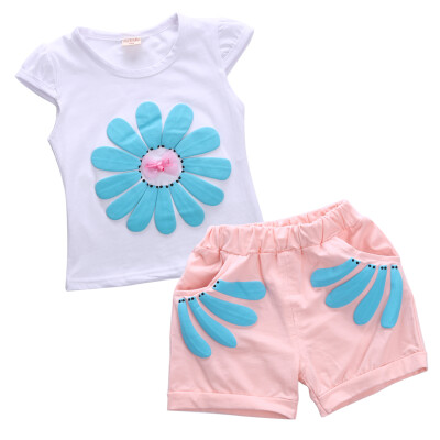 

Fashion Kids Baby Girls Beauty Tops T-shirt Floral Shorts 2PCS Outfits Age 1-4Y