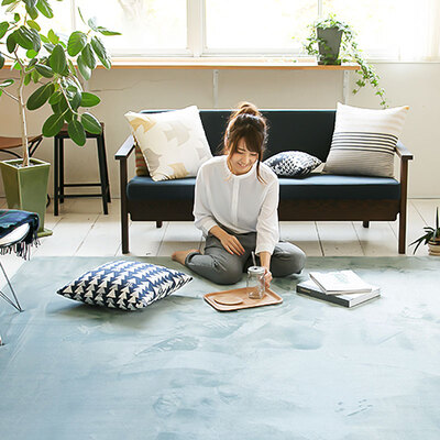 

Maia carpet bright coral fleece thick living room bedroom coffee table Bay window Rug 80 160cm gray