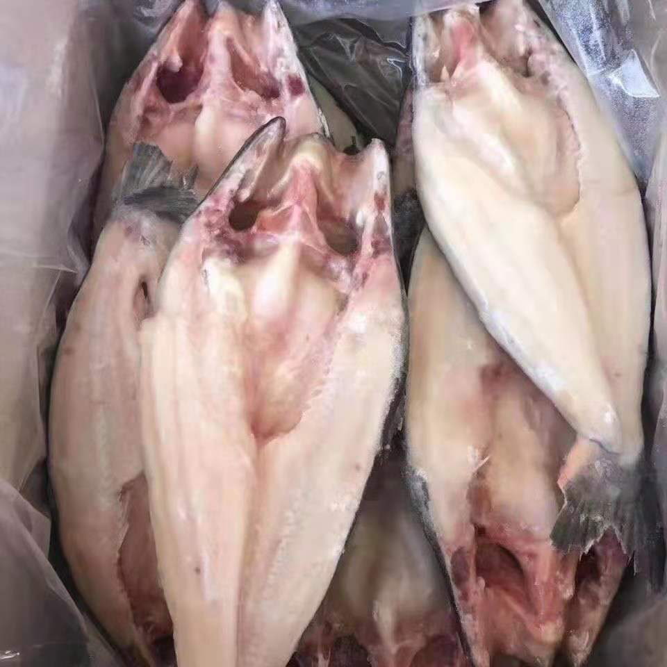 新鮮冷凍整條開背巴沙魚湄公魚龍利魚開背淨膛烤魚速凍深海海鮮騰旺納