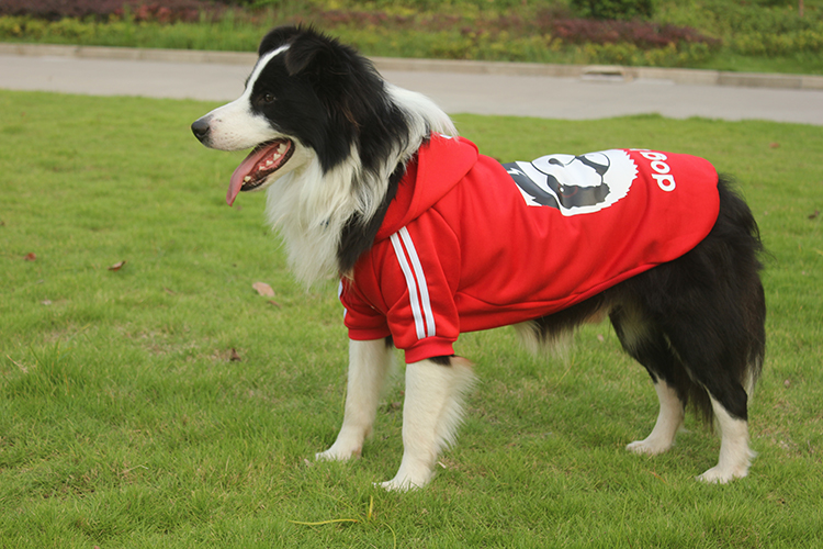 大中型犬狗狗衣服寵物秋冬裝加絨衛衣金毛哈士奇薩摩耶超人毛衣 俠