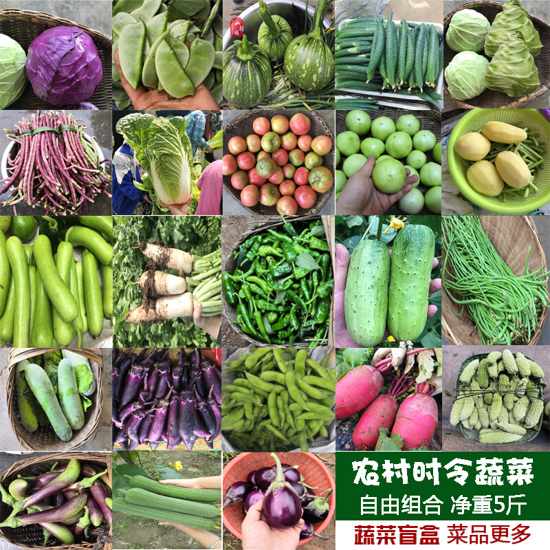 黄花地 蔬菜组合套餐农家自种新鲜时令蔬菜农家菜当季盲盒4种共5斤
