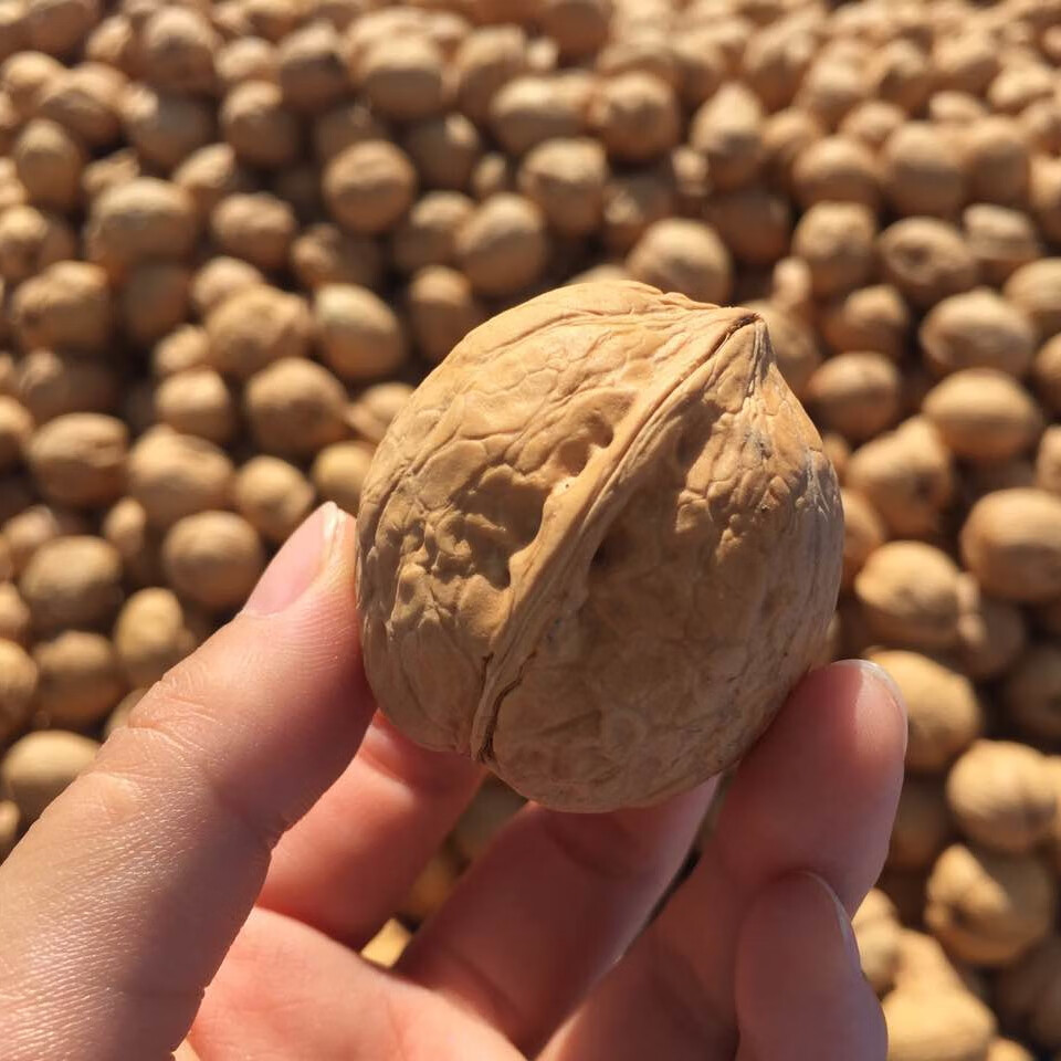 新货新疆阿克苏温宿县 特级185纸皮薄皮大核桃 纸皮核桃(净重4斤装)