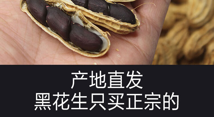 云南黑花生富硒黑花生普洱2022新货晒干花生米种籽子带壳黑皮花生