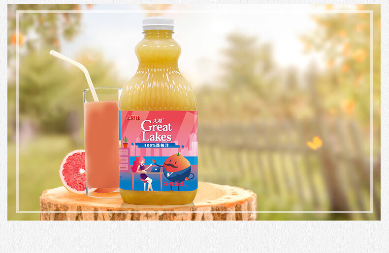 大湖橙汁 大湖橙汁果汁饮料 婚宴 1l*6大瓶整箱装 大湖苹果葡萄汁1l*6