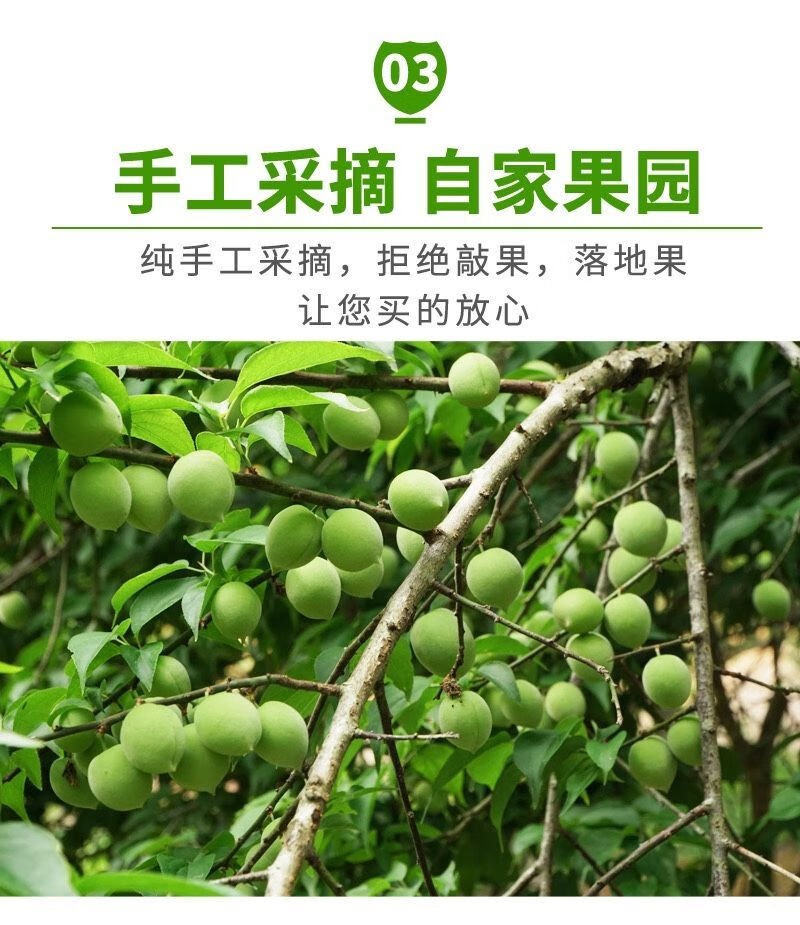 更多参数>>国产/进口:国产包装形式:礼盒装类别:青梅商品产地:中国