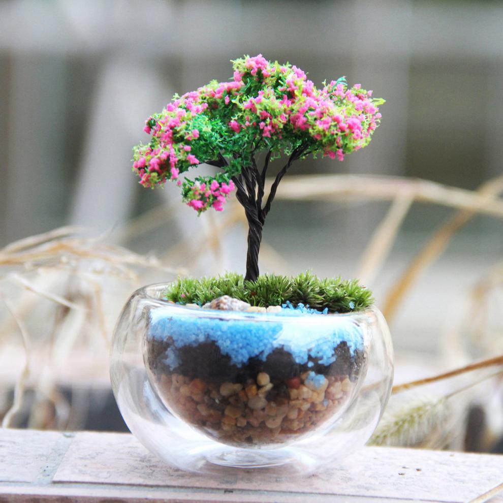 微观苔藓绿植物玻璃微景观组合盆栽生态瓶diy材料包盆景套装润景苹果