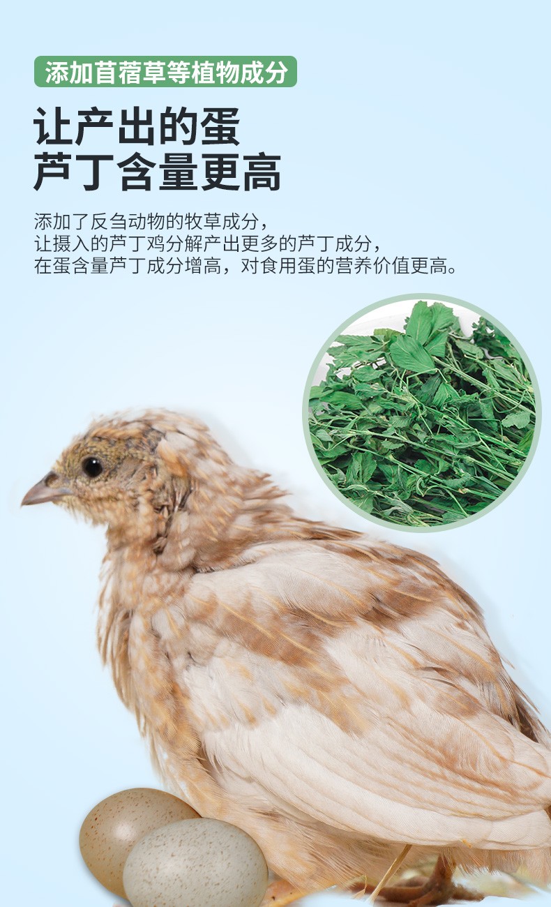 芦丁鸡饲料开口料营养粮专用下蛋产蛋幼鸡育雏增体卢丁鸡粮芦丁鸡营养